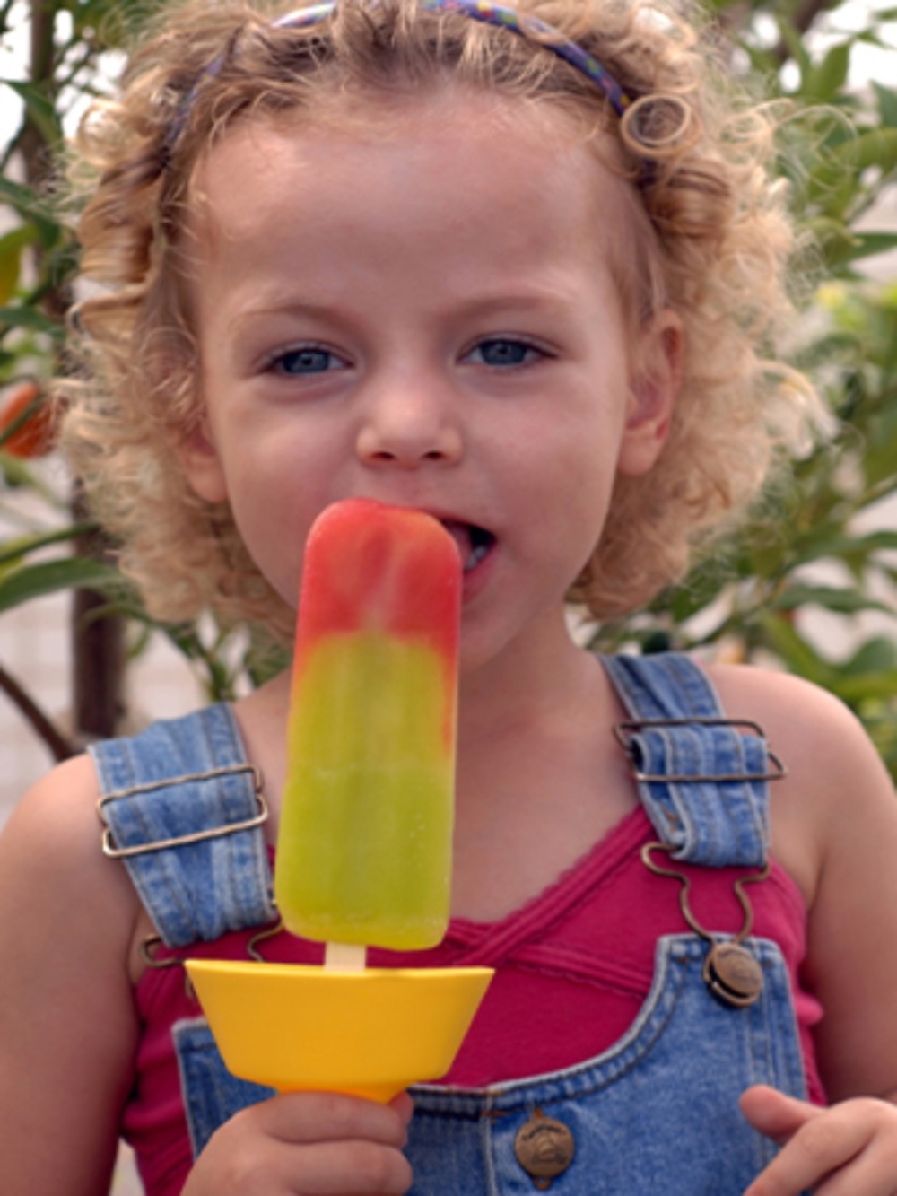Pop No Drop Popsicle / Ice Cream Bar Holder for Kids Yellow